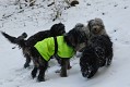trekking2010-0040